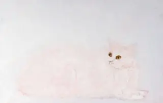 Pink Cat - Oil on Canvas -